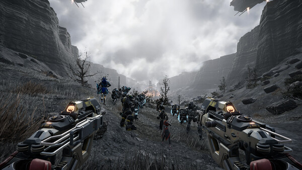 Multiplayer & Co-op Status